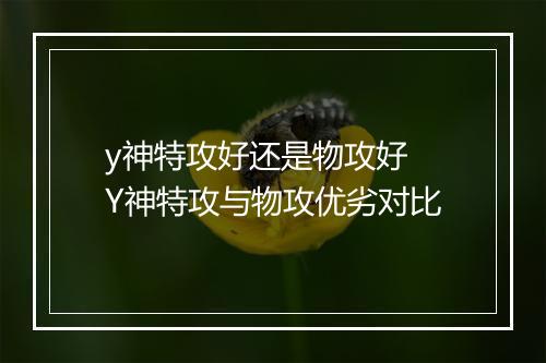 y神特攻好还是物攻好　Y神特攻与物攻优劣对比