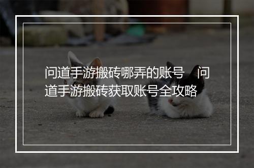 问道手游搬砖哪弄的账号　问道手游搬砖获取账号全攻略