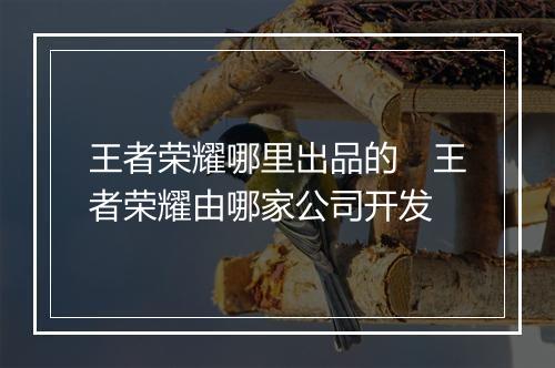 王者荣耀哪里出品的 王者荣耀由哪家公司开发