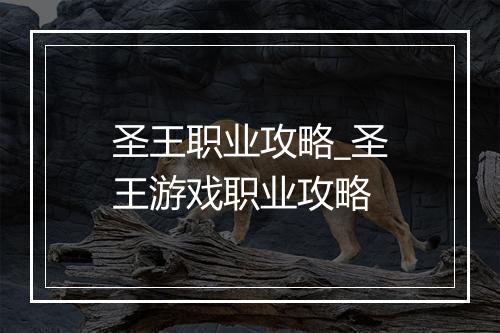 圣王职业攻略_圣王游戏职业攻略