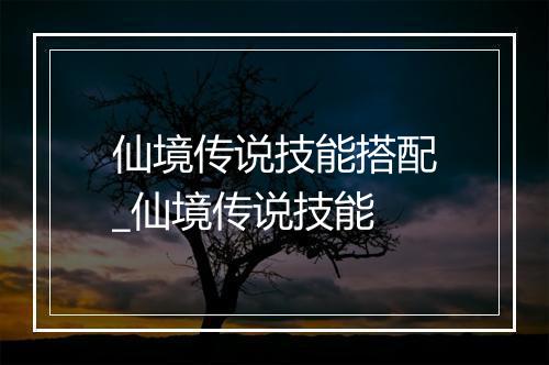 仙境传说技能搭配_仙境传说技能