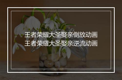 王者荣耀大圣娶亲倒放动画 王者荣耀大圣娶亲逆流动画