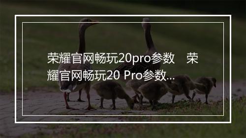 荣耀官网畅玩20pro参数　荣耀官网畅玩20 Pro参数详解