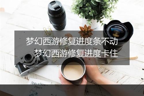 梦幻西游修复进度条不动 梦幻西游修复进度卡住