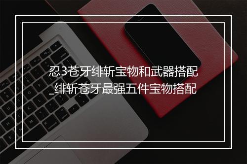 忍3苍牙绯斩宝物和武器搭配_绯斩苍牙最强五件宝物搭配