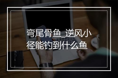 弯尾骨鱼_逆风小径能钓到什么鱼