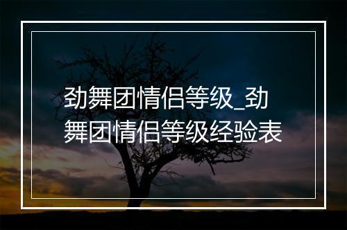劲舞团情侣等级_劲舞团情侣等级经验表