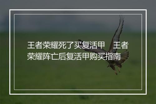 王者荣耀死了买复活甲　王者荣耀阵亡后复活甲购买指南