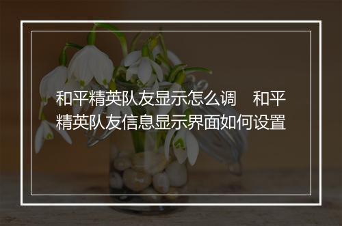 和平精英队友显示怎么调　和平精英队友信息显示界面如何设置