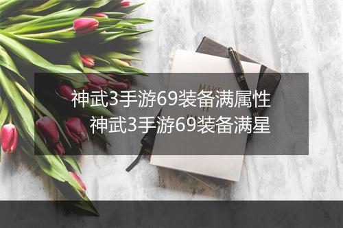 神武3手游69装备满属性　神武3手游69装备满星