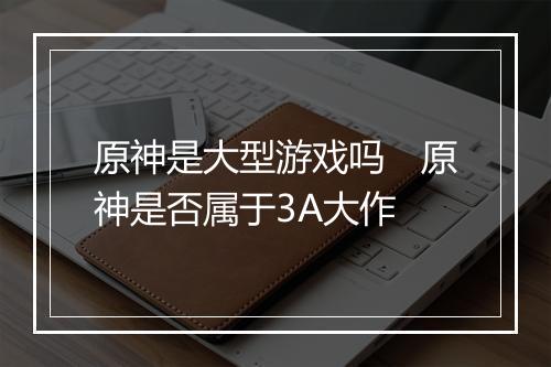 原神是大型游戏吗　原神是否属于3A大作