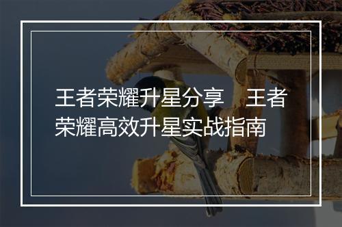 王者荣耀升星分享　王者荣耀高效升星实战指南