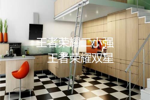 王者荣耀二小强　王者荣耀双星